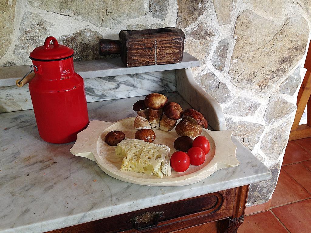 Gasthaus Maria Borlova 외부 사진