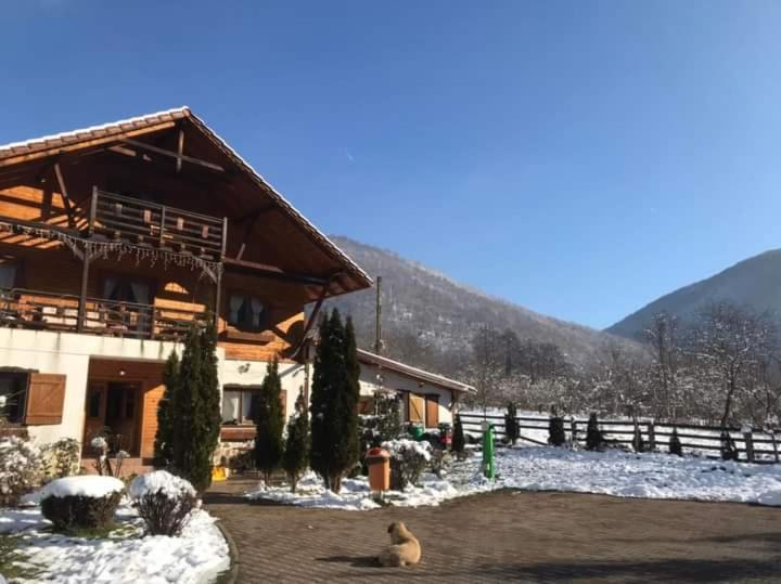 Gasthaus Maria Borlova 외부 사진