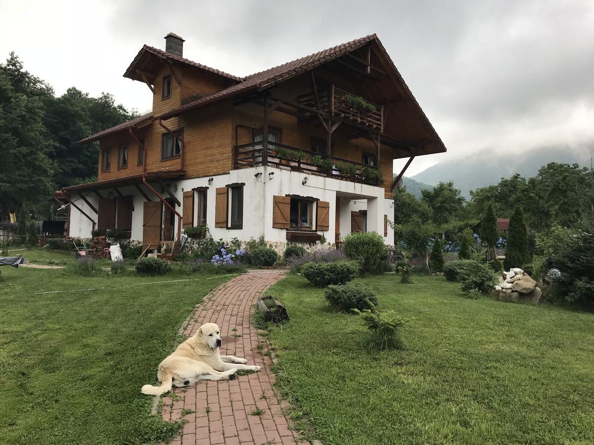 Gasthaus Maria Borlova 외부 사진